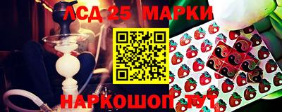 a pvp Гудермес